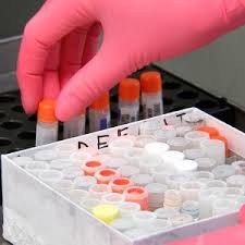 BRCA 1&2 MUTATION DETECTION (Germline) with MLPA