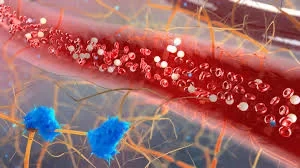 تحليل oncomine لمتلازمة خلل التنسج النقوي (mds)