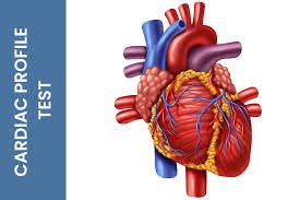 Basic Cardiac Profile