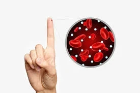 ملف مقاومة الأنسولين (Insulin Resistance Profile)