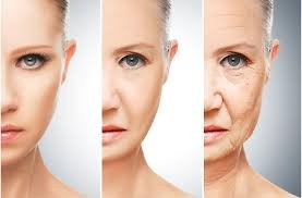 Determination of Biological age using telomeric length studies