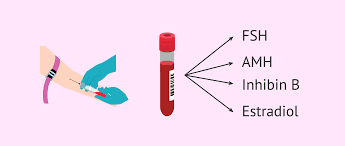 Ovarian Function Profile
