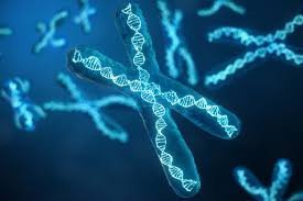 MTHFR C677T & A1298C Genetic Mutation Test – DNA Analysis for Methylation & Health Insights