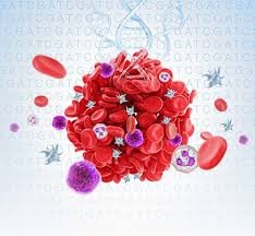 Oncomine chronic myelomonocytic Leukemia (CMML) panel