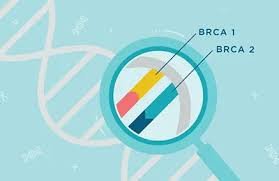 BRCA 1&2 Somatic gene Panel