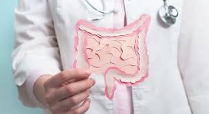 Gut Microbiome Test