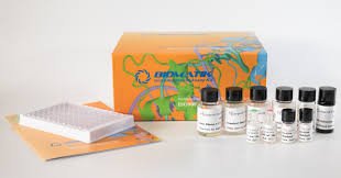 NTx-N-Telopeptides of Type I Collagen Urine Test