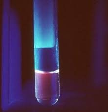 Porphyrins 5 Fractions Test by HPLC