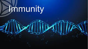 DNA IMMUNITY TEST