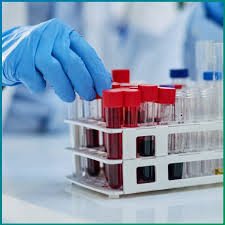 Premium Carnitine (Free and Total) Supplement for Energy, Fat Metabolism, and Cellular Health – Plasma & Serum Tested via Tandem Mass Spectrometry (MS/MS)