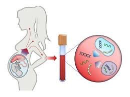 NIPT Advance - Non Invasive Prenatal Test